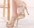 /album/moda-europea/images-5-jpg/